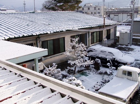 久々の雪